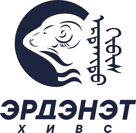 логотип ЭРДЕНЕТ ХИВС